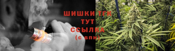 ГАЛЛЮЦИНОГЕННЫЕ ГРИБЫ Медногорск