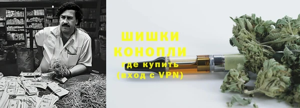 бошки Мегион