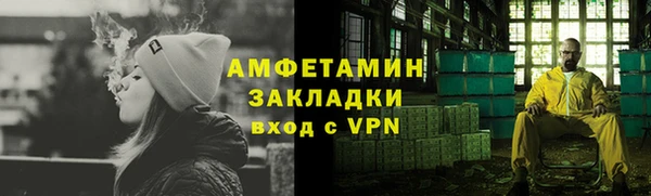 индика Весьегонск