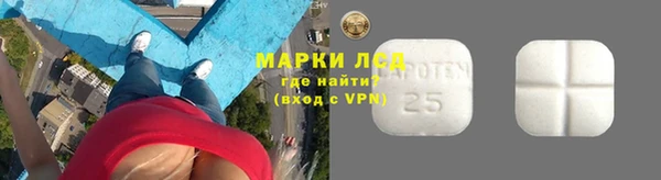 ПСИЛОЦИБИНОВЫЕ ГРИБЫ Медвежьегорск