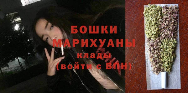 ПСИЛОЦИБИНОВЫЕ ГРИБЫ Медвежьегорск
