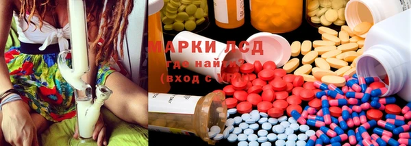 ПСИЛОЦИБИНОВЫЕ ГРИБЫ Медвежьегорск