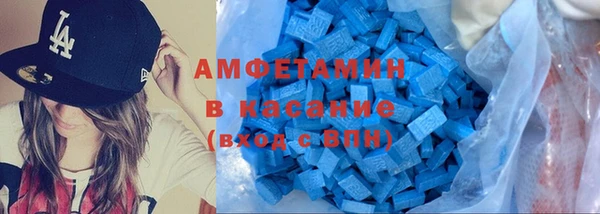 индика Весьегонск